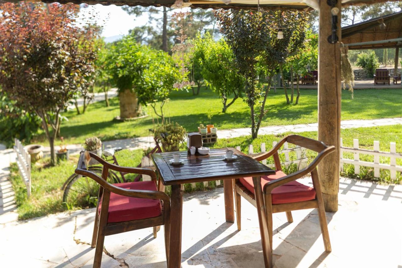 Koala Bungalows Olympos Bagian luar foto
