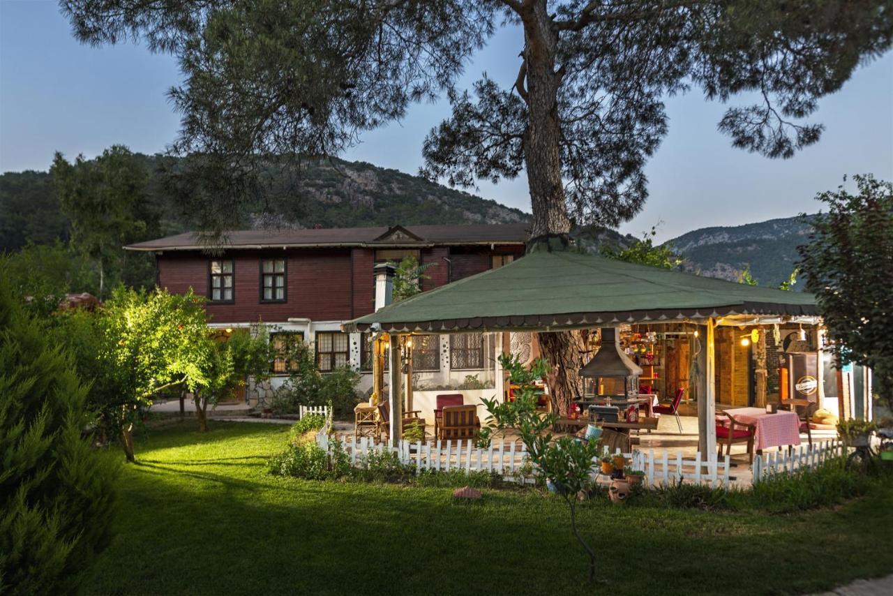 Koala Bungalows Olympos Bagian luar foto