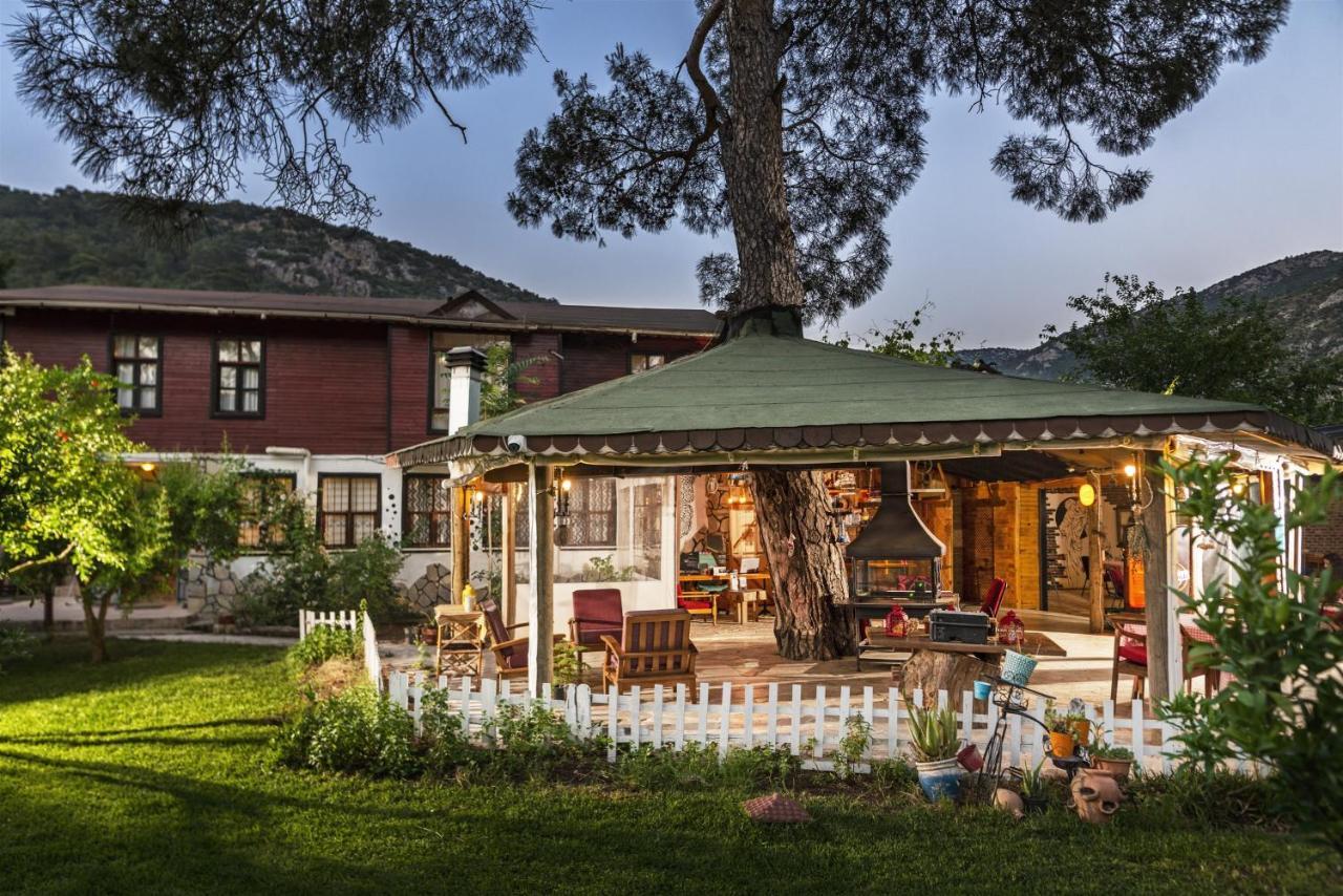 Koala Bungalows Olympos Bagian luar foto