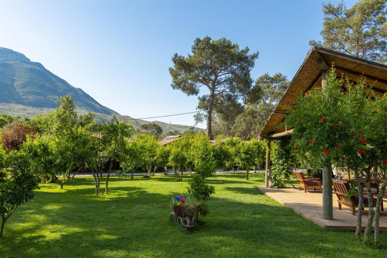 Koala Bungalows Olympos Bagian luar foto