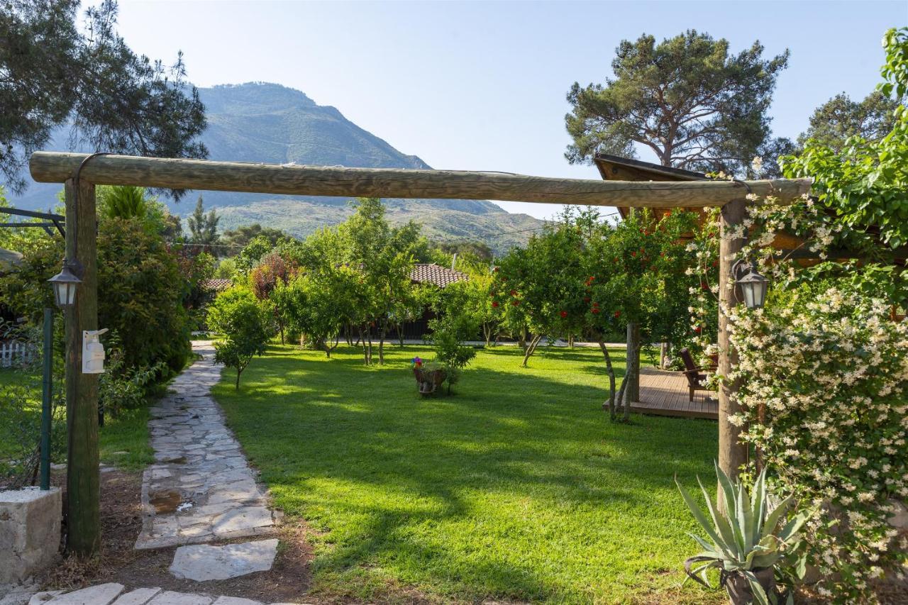 Koala Bungalows Olympos Bagian luar foto