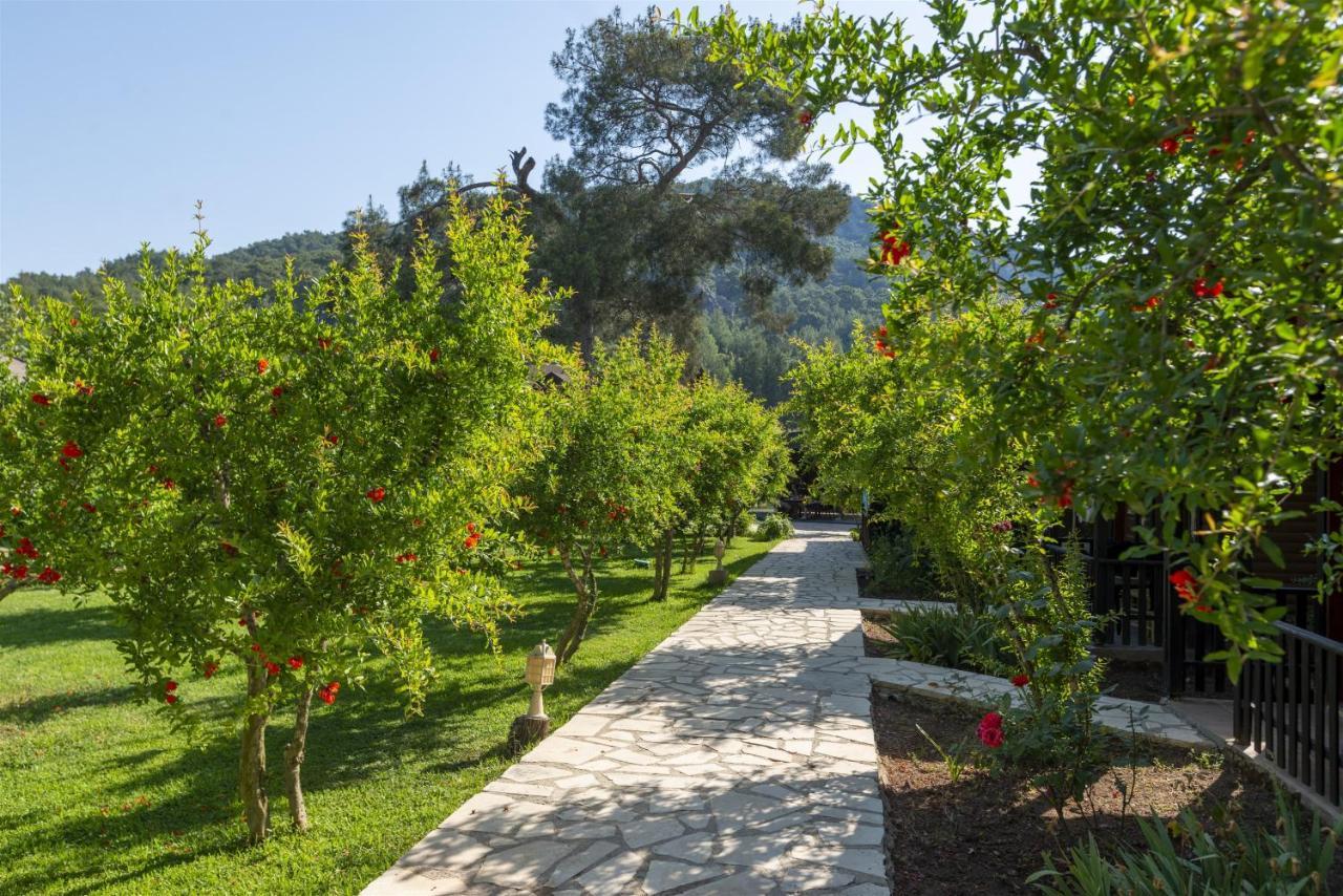 Koala Bungalows Olympos Bagian luar foto