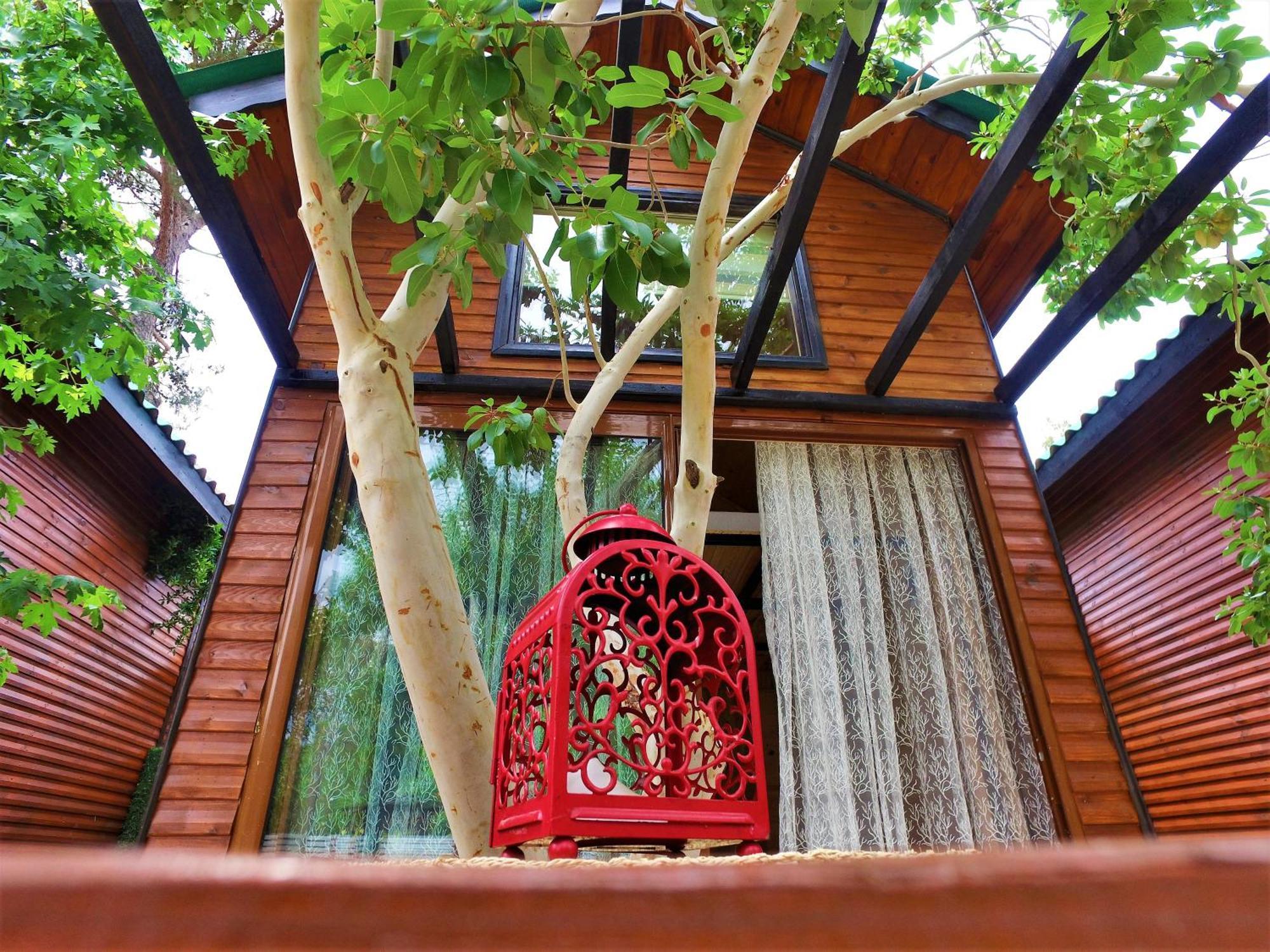 Koala Bungalows Olympos Bagian luar foto