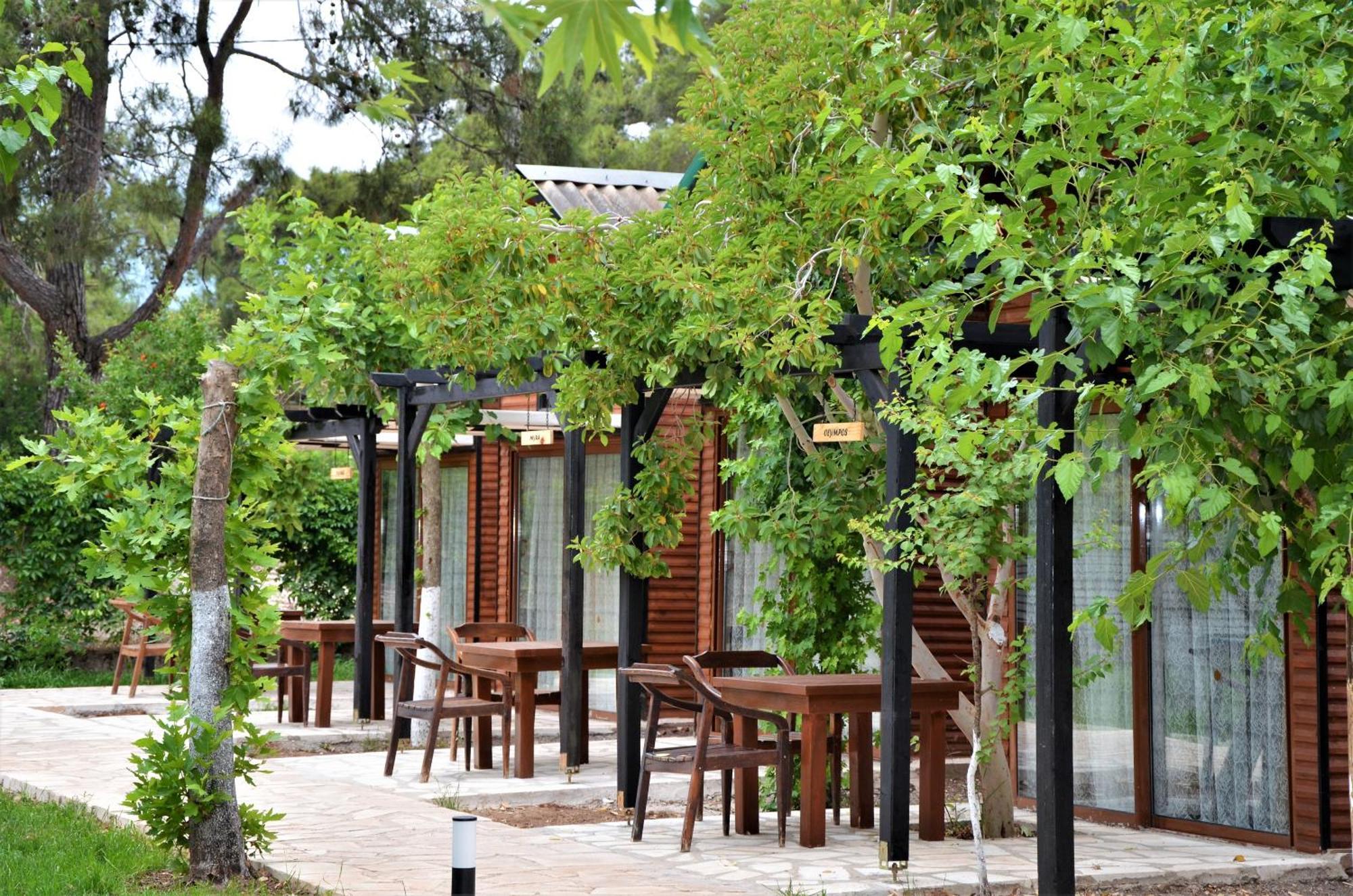 Koala Bungalows Olympos Bagian luar foto
