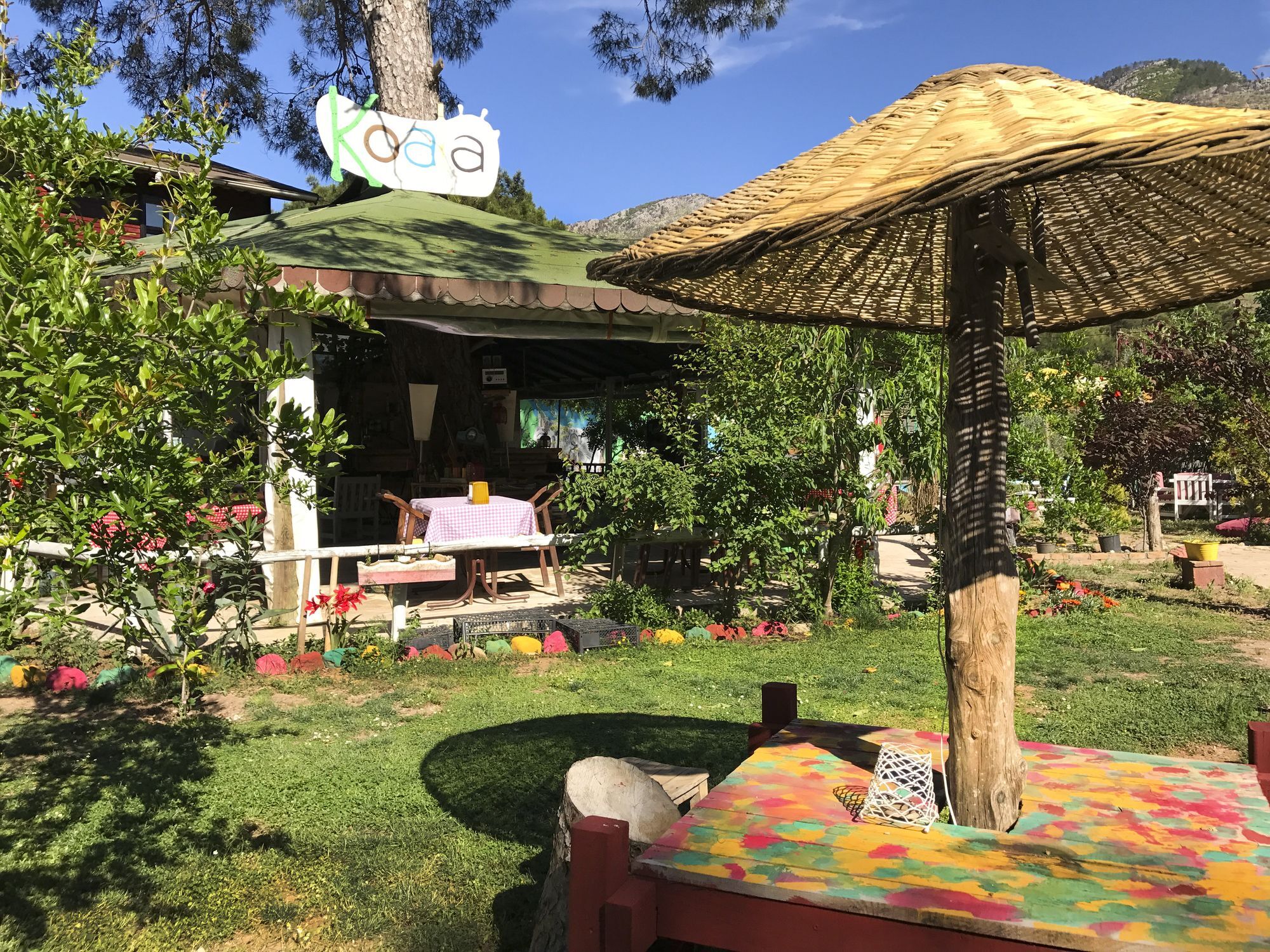 Koala Bungalows Olympos Bagian luar foto