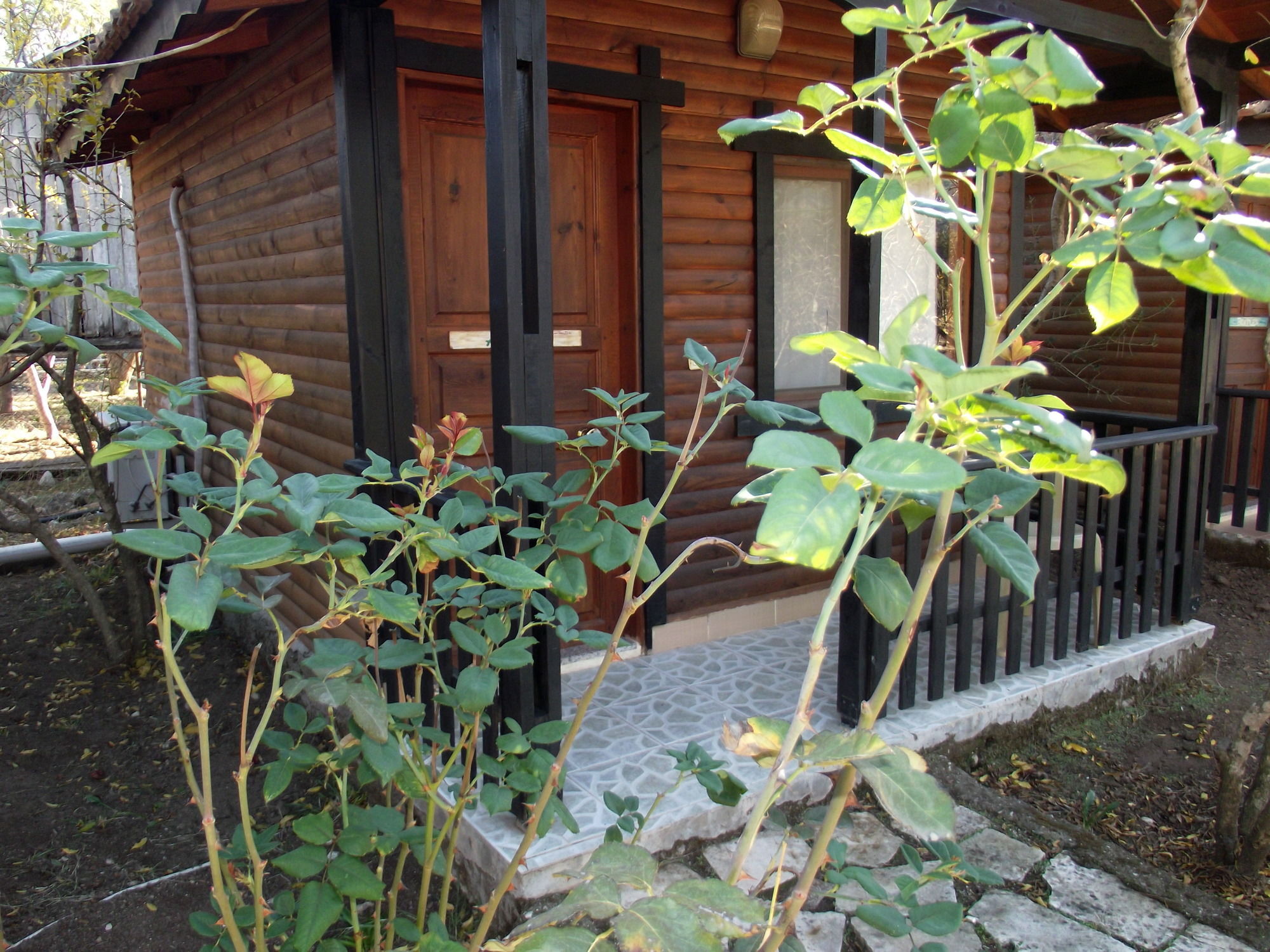 Koala Bungalows Olympos Bagian luar foto