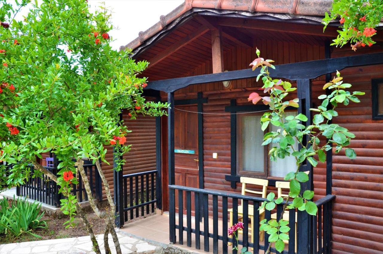 Koala Bungalows Olympos Bagian luar foto